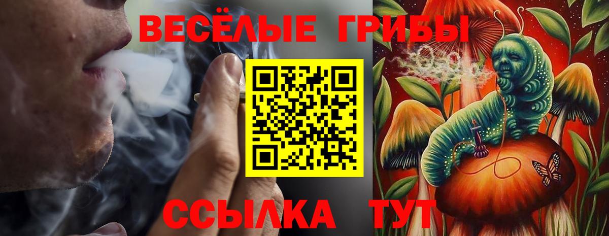 Псилоцибиновые грибы прущие грибы  купить наркоту  Псилоцибиновые грибы Psilocybe  Киселёвск  Вход с VPN 